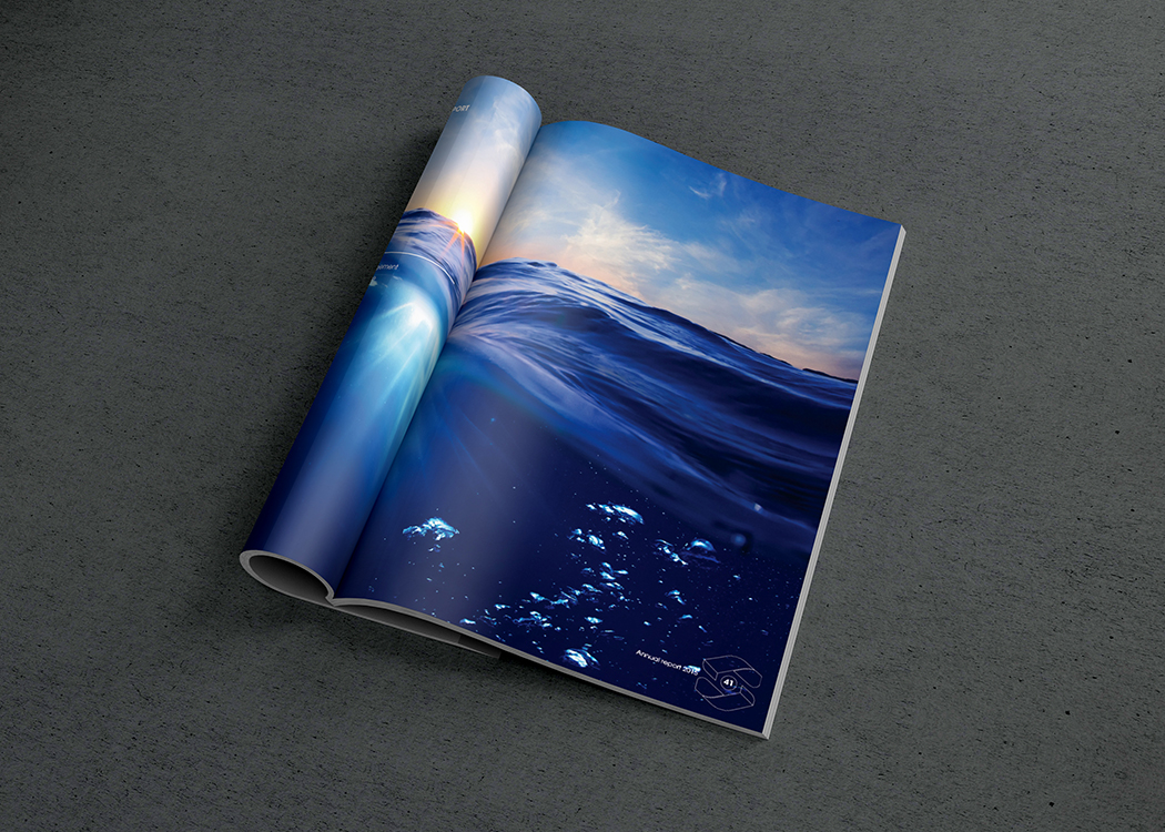 SƠN HÀ - Thiết kế báo cáo thường niên cho Công ty Sơn Hà